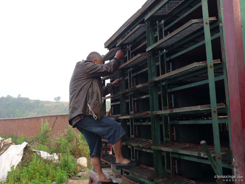 ���ѣ������׸����ٹ���鲮��