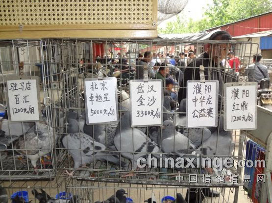 ����֣�ݸ��У�������߾���(ͼ)