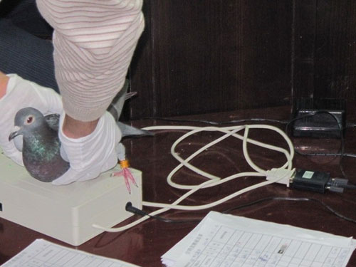 ���ݳ�̨�������Ÿ뱨��ͻ���¹ʡ��涨