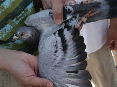 ����������£��������չ�16��(ͼ)