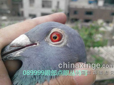 ���۸룺�����뻹�ǻ��ۼ���(ͼ)