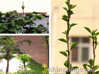 ����Ϊ��ʲô��