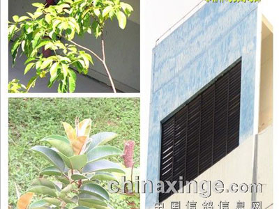 ������ �ҵļҾ����ģ�(ͼ)