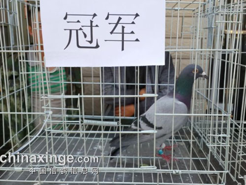 ����һ��������������12��ھ�(ͼ)