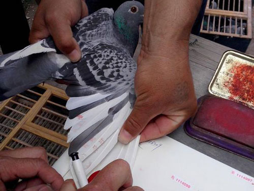 ����1600���ﳬԶ��75��Ӣս����(ͼ)