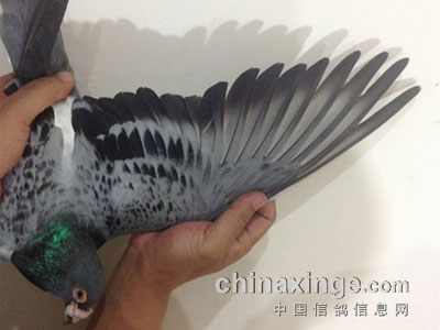 ��019��������ڹ����浽Ц(ͼ)