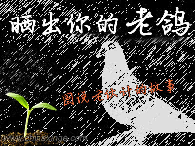 �н�ɹ�ϸ���Ƭ��ͼ˵�ϻ�ƵĹ���