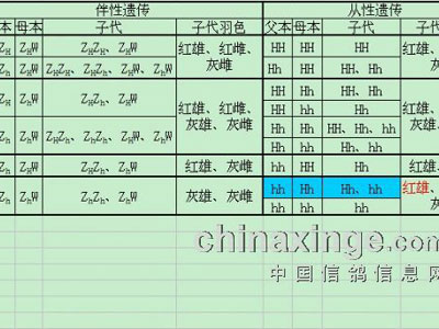 �ɫ���񡰴����Ŵ���(ͼ��)