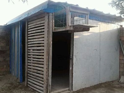 �ֹ����죺�����ϰײ˼۸���(ͼ)