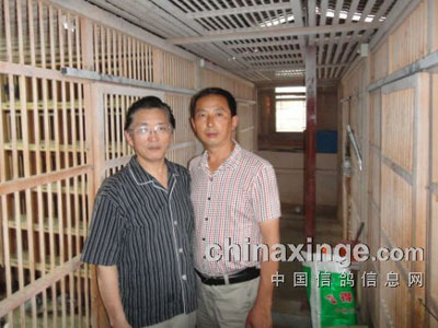 �Ϻ��У��ü��˸�������������(ͼ)