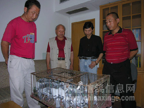  ��Զ�̱���������ڸ㡰Űɱ����