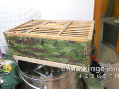 �۸�����������(ͼ)