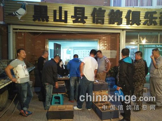 ��ɽ�ⵤ���ֲ�150�����ʸ�������(ͼ)