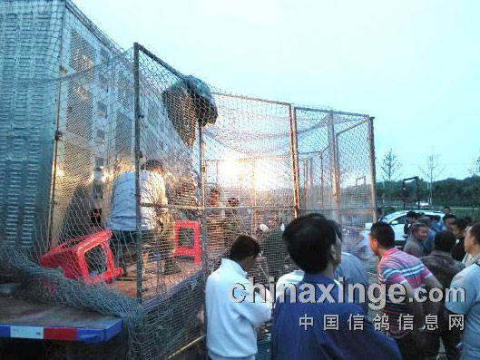 ������������һ�أ�ָ���������¸�(ͼ)