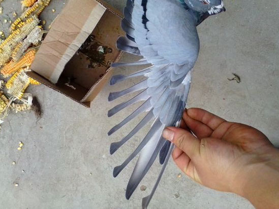 ΢�����ϣ������ھӼҷ��������(ͼ)