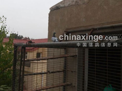  ������룺ÿ�η���Ȧ���䣿