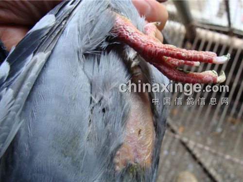 ��ʧ���أ�15�����ѵ�����꣡