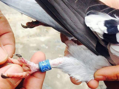 �������������أ�������������ɼ���ȡ��