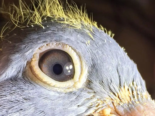 ��Сά������ѵ��������ʵ��