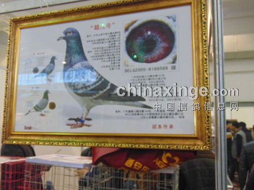 ֣�ݸ�չ����֮�ã������ˣ�(ͼ)