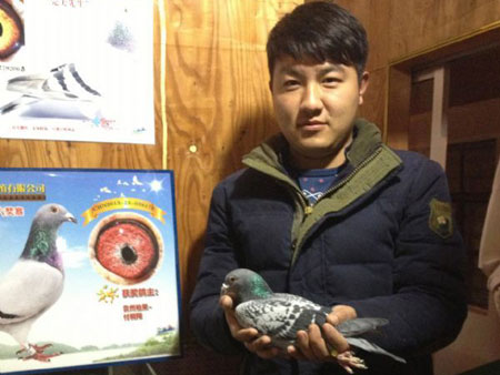 Ԫ���صȽ�������ɽ�ָ뵽�ң�