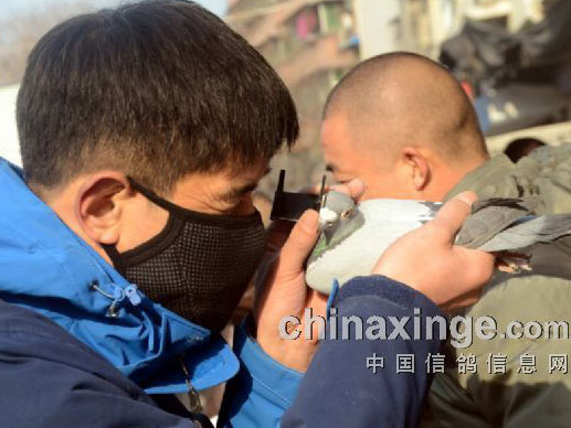 ������������ɣ��ٻ��뿴��(ͼ)