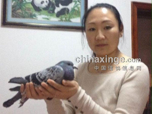 ��л���ţ�ð��ѩ�������Ľ���(ͼ)