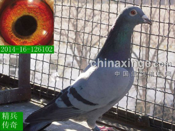 �����кڿ� ���ּ�ֵ��(ͼ)