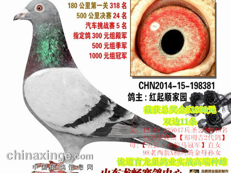 �����̸������ɺõ���������(ͼ)