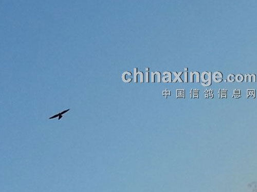 ���ӳ��˸���ġ���������(ͼ)