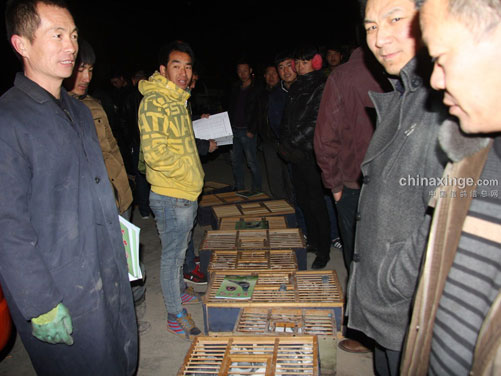 ս�Ϻ������Ҹ����Ĺؼ���4747��(ͼ)