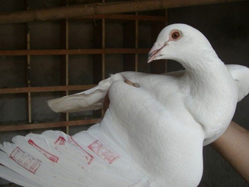 �ִ���������̽������(��)