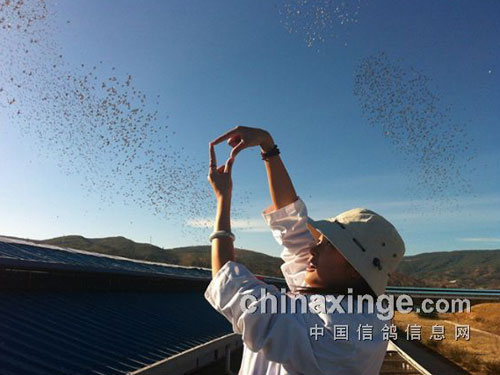 �����ڷɣ��������콫�ڴ��ں����(ͼ)