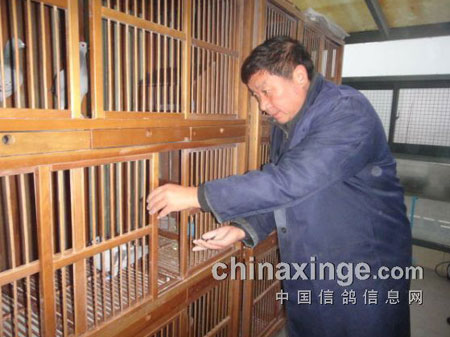 ��粮�֣��γ���������ƽ����(ͼ)