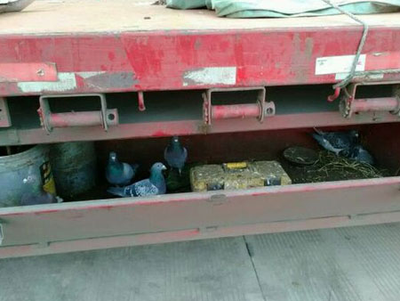 ���ߵĸ��ѣ������������治��(ͼ)