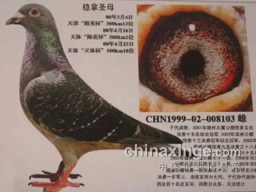 ����ʥĸ���棺����Ʒ�� ��������(ͼ)