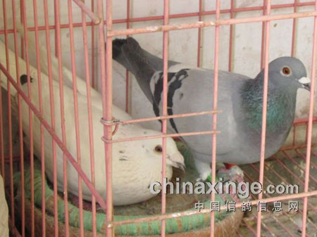 ���˷������� �����л�԰��ȡ(ͼ)