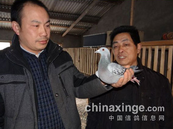 ����Ԫ������������ �����������(ͼ)