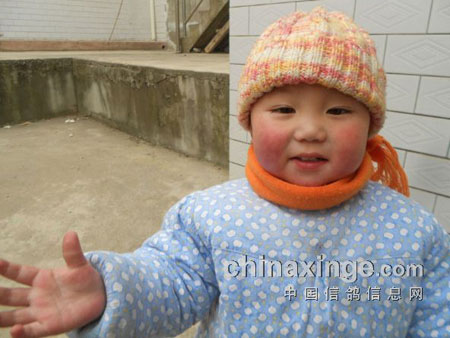 2��С���Ѹ���ҡ��Ϳ��֡���(ͼ)