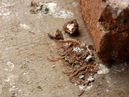 ����ǰ������������棿