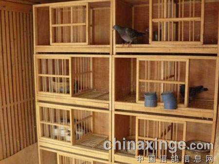 ����ʱ�ڵ� ����ԡ�������(ͼ)