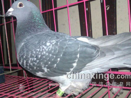 ������ӳ�����ؿ�����(ͼ)