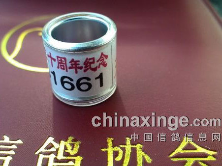 �и�Э30����������(ͼ)