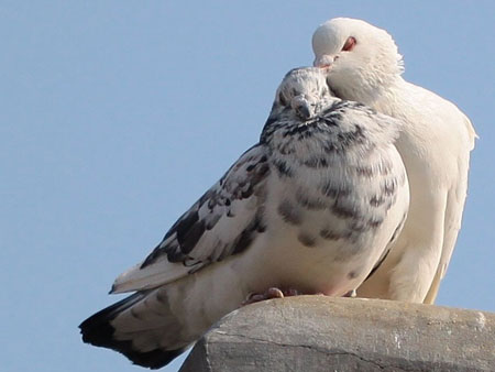 ΢��������ԡ���ɶʱ������ԣ�