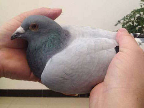 �������¡����ҡ��� �����ͳ�û��Ҫ(ͼ)