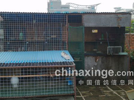 ����2014���������м���ͦ��(ͼ)