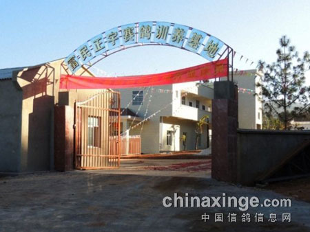 �����������ҡ���н�ۡ�����(ͼ)