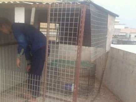 16���������� �ϰִ��ɨ��