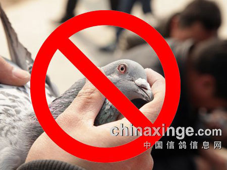 ��ֹ��������̽�ӣ�������˼��