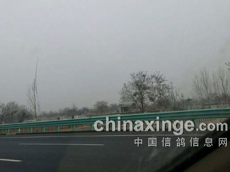 ����·�߼�30�״��� ���Ѻ�������(ͼ)